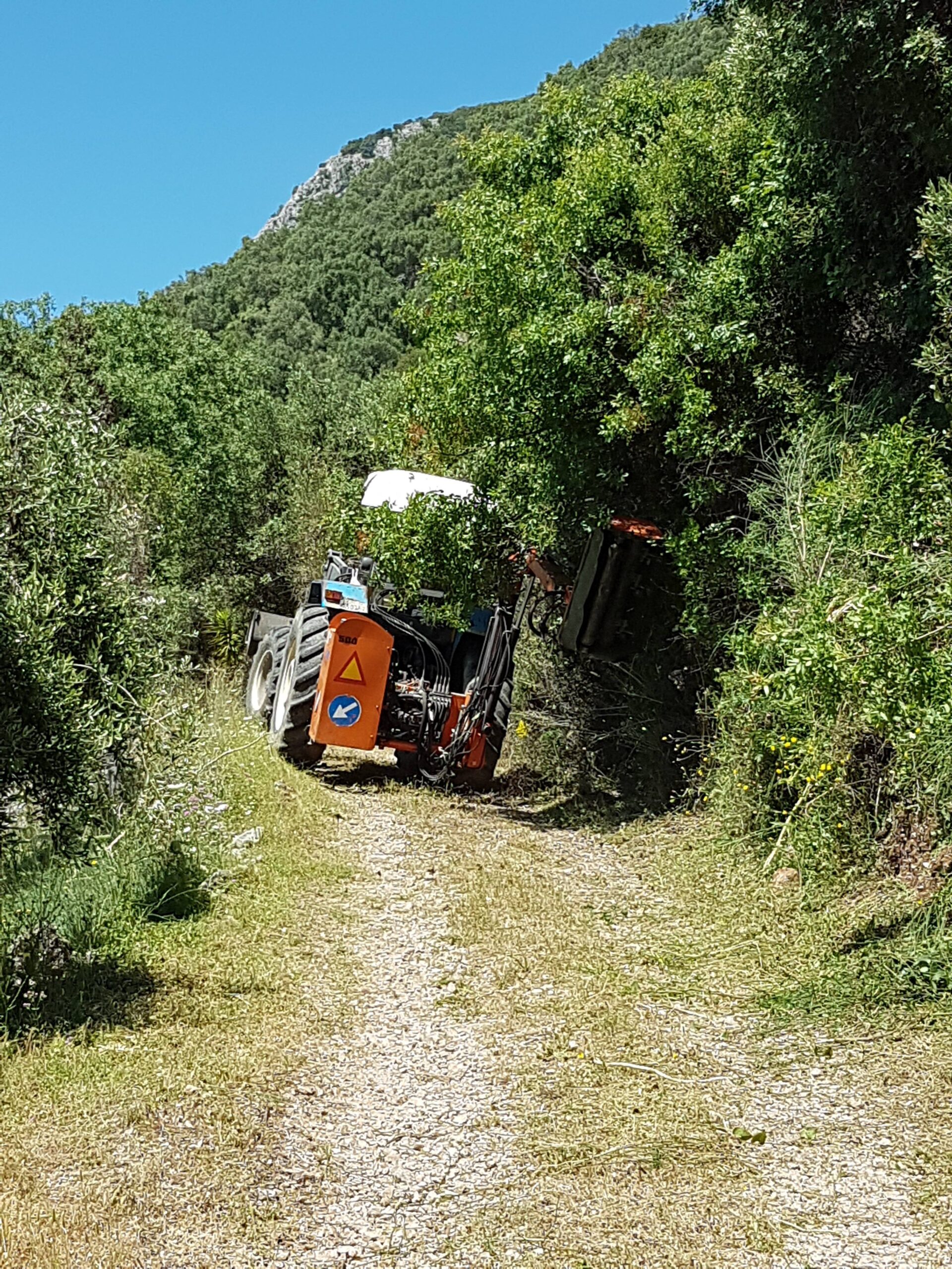 corfu.gr-2021-06-02_07-59-17_663893