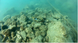 corfu.gr-2021-09-17_10-58-23_267400