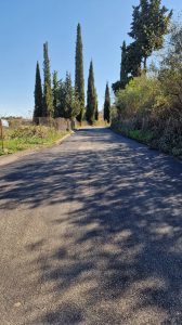 corfu.gr-2022-11-02_12-58-17_457383