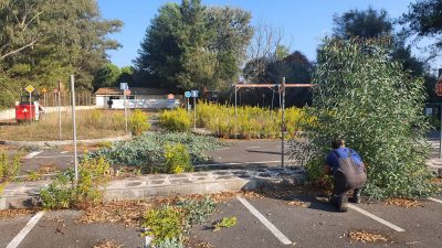 corfu.gr-2022-11-14_16-35-00_788580