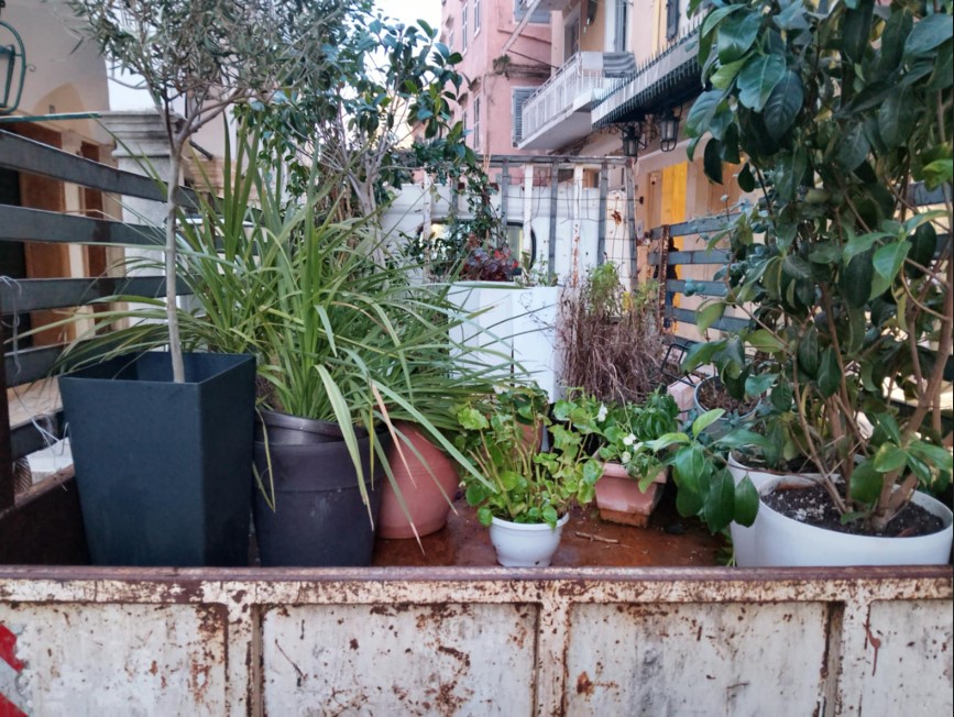 corfu.gr-2025-02-18_07-31-25_631545