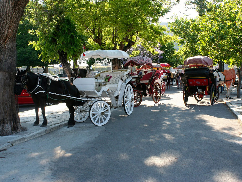 corfu.gr-2026-07-21_08-19-00_085968